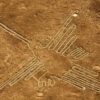 Peru: Die Faszination der Nazca für die Darstellung von Tieren