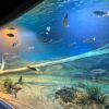 Das größte Süßwasseraquarium der Welt befindet sich in Südamerika