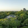 Mexiko, Guatemala und Belize schließen sich zum Schutz des Maya-Waldes zusammen