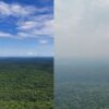 Abholzung eng verbunden mit verringertem Niederschlag im Amazonas-Regenwald