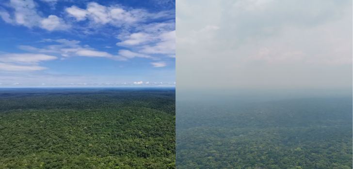 amazonas