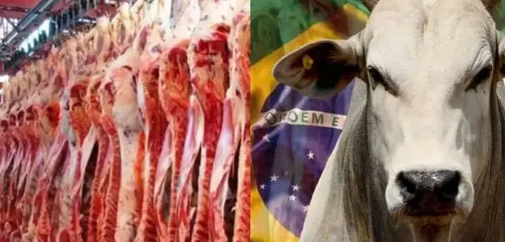 fleisch
