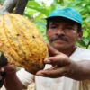 Ecuador wird zum zweitgrößten Kakaoanbauer der Welt