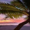 Länderspezifische Top-Level-Domain beschert Karibikinsel Anguilla Millionen-Einnahmen