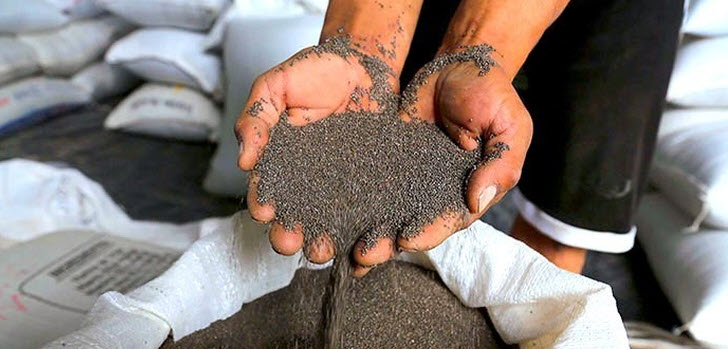 chia