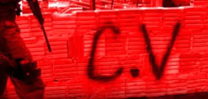 cv cv