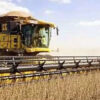 Brasilien treibt die landwirtschaftliche Revolution voran