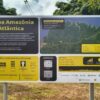 Wanderweg durch den Amazonas-Regenwald wird eingeweiht
